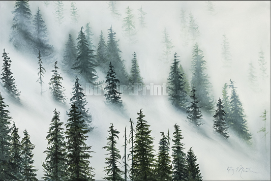 Evergreen - SOLD